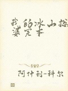 我的冰山总裁老婆完本