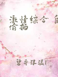 激情综合 自拍偷拍