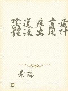 阴道痒有黄色液体流出用什么药