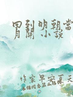 回到明朝当王爷月关 小说