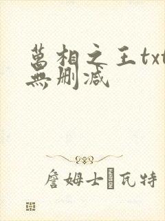 万相之王txt无删减