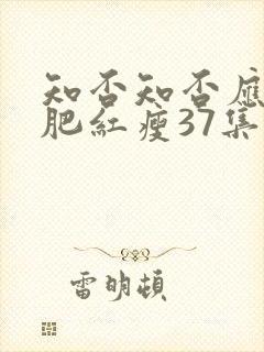 知否知否应是绿肥红瘦37集