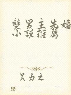 双男主先婚后爱小说推荐