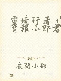 灵境行者 作者卖报小郎君