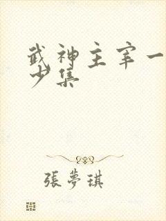 武神主宰一共多少集