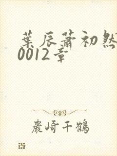 叶辰萧初然100012章