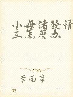 小母猪发情不静立怎么办