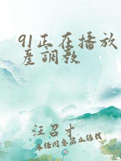 91正在播放国产调教