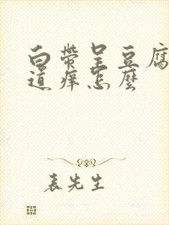 白带呈豆腐渣阴道痒怎么