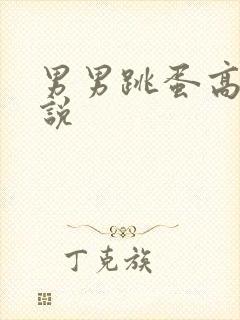 男男跳蛋高h小说