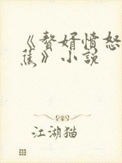 《赘婿愤怒的香蕉》小说