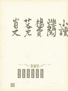 肖艾杨烁小说全文免费阅读笔趣阁