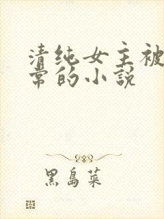 清纯女主被擒日常的小说