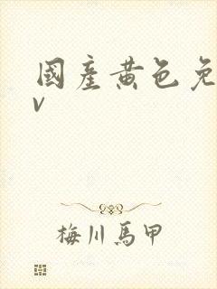 国产黄色免费av