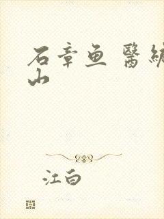 石章鱼 医统江山