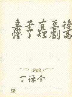 妻子有喜后,我懵了短剧高清