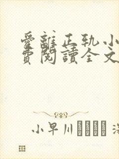 爱离正轨小说免费阅读全文最新章节