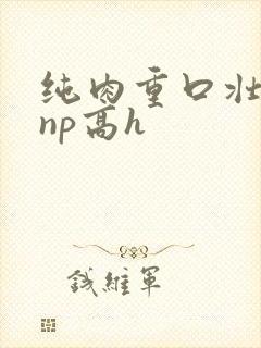 纯肉重口壮汉受np高h