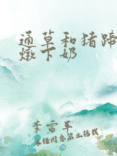 通草和猪蹄怎么炖下奶