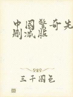 中国惊奇先生无删减版
