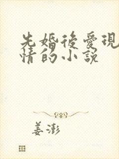 先婚后爱现代言情的小说