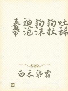 泰迪狗狗吐黄水带泡沫拉稀