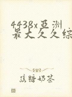 4438x亚洲最大久久综合久久