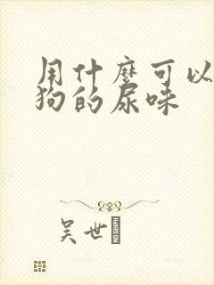 用什么可以去除狗的尿味