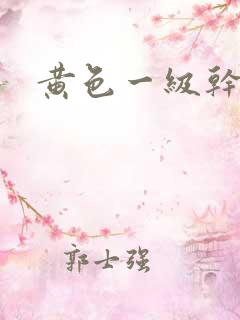 黄色一级干逼片