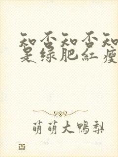 知否知否知否应是绿肥红瘦高清