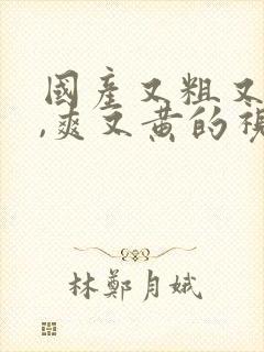 国产又粗又猛又,爽又黄的视频免费