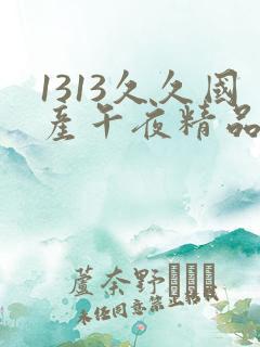 1313久久国产午夜精品理论片