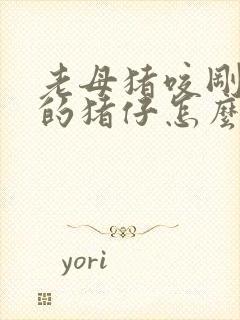 老母猪咬刚出生的猪仔怎么办