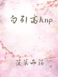 勾引高hnp