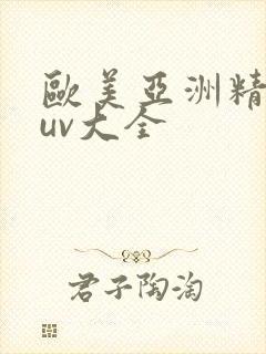 欧美亚洲精品suv大全