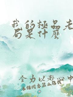 我的极品老婆结局是什么