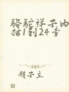 骆驼祥子内容概括1到24章