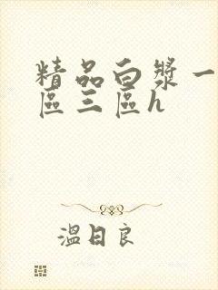 精品白浆一区二区三区h