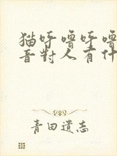 猫呼噜呼噜的声音对人有什么好处