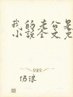 我的老公是大佬小说全文免费阅读