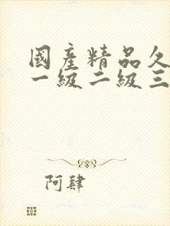 国产精品久久久一级二级三级