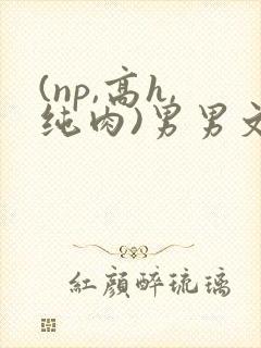 (np,高h,纯肉)男男文