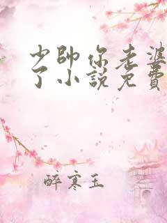 少帅你老婆又跑了小说免费阅读全文