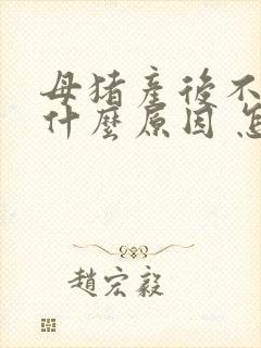 母猪产后不吃食什么原因 怎样解决