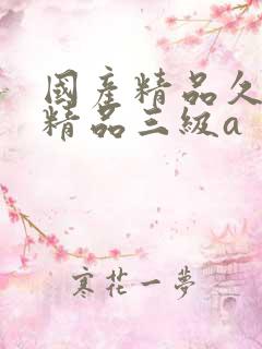 国产精品久久久精品三级a