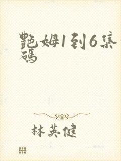 艳姆1到6集转码