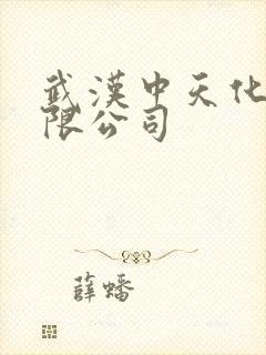 武汉中天化工有限公司