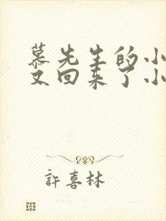 慕先生的小撩精又回来了小说