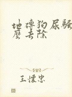 地砖狗尿骚味怎么去除