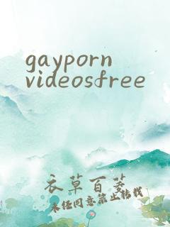 gaypornvideosfree
